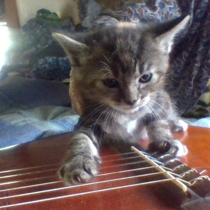 Donald J. Trump FANS — 45th & 47th President of the United States ...