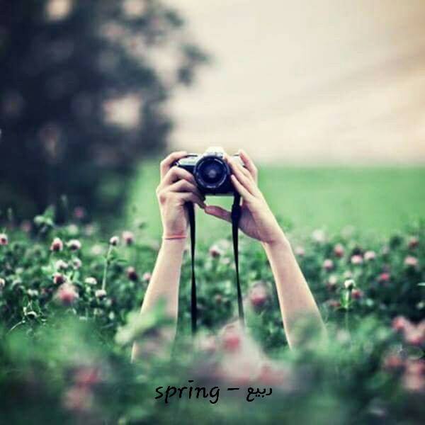 ربيع - spring