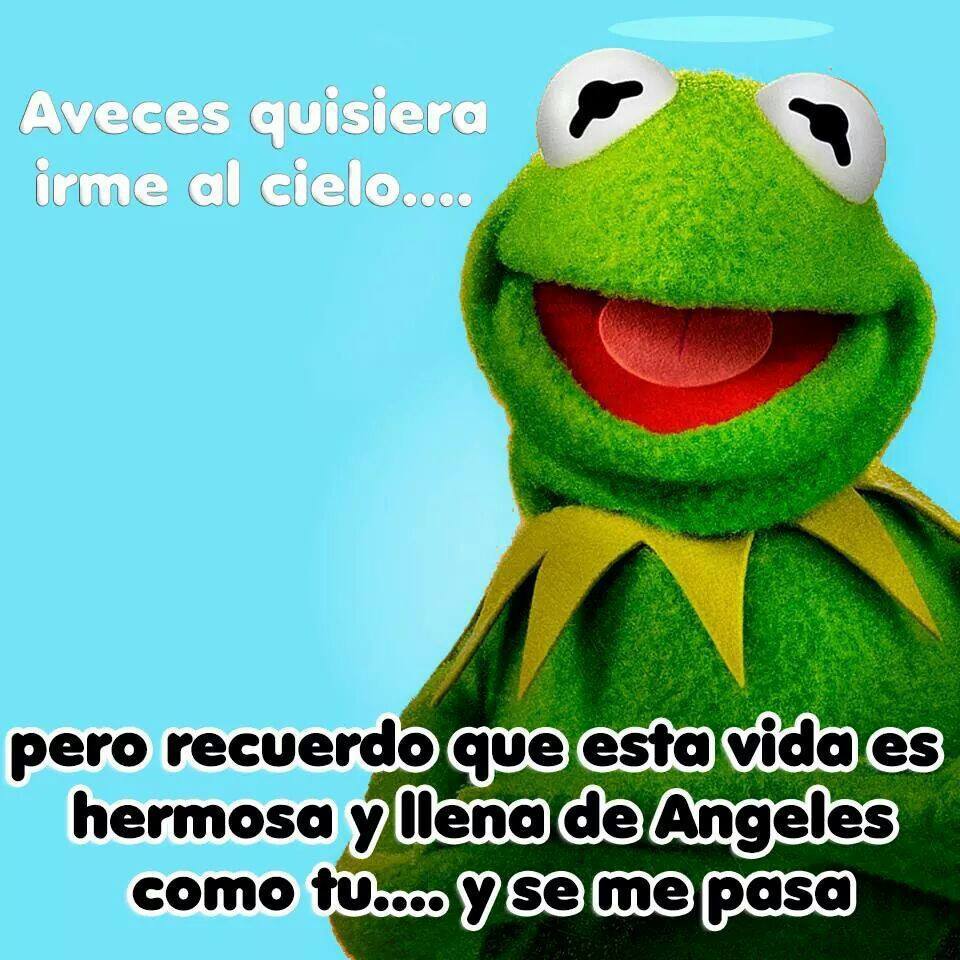 La Rana Rene Colombia y sus memes