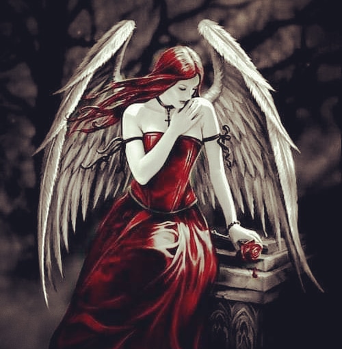 I’m sorry… I just can’t right now | Alicia Michelle