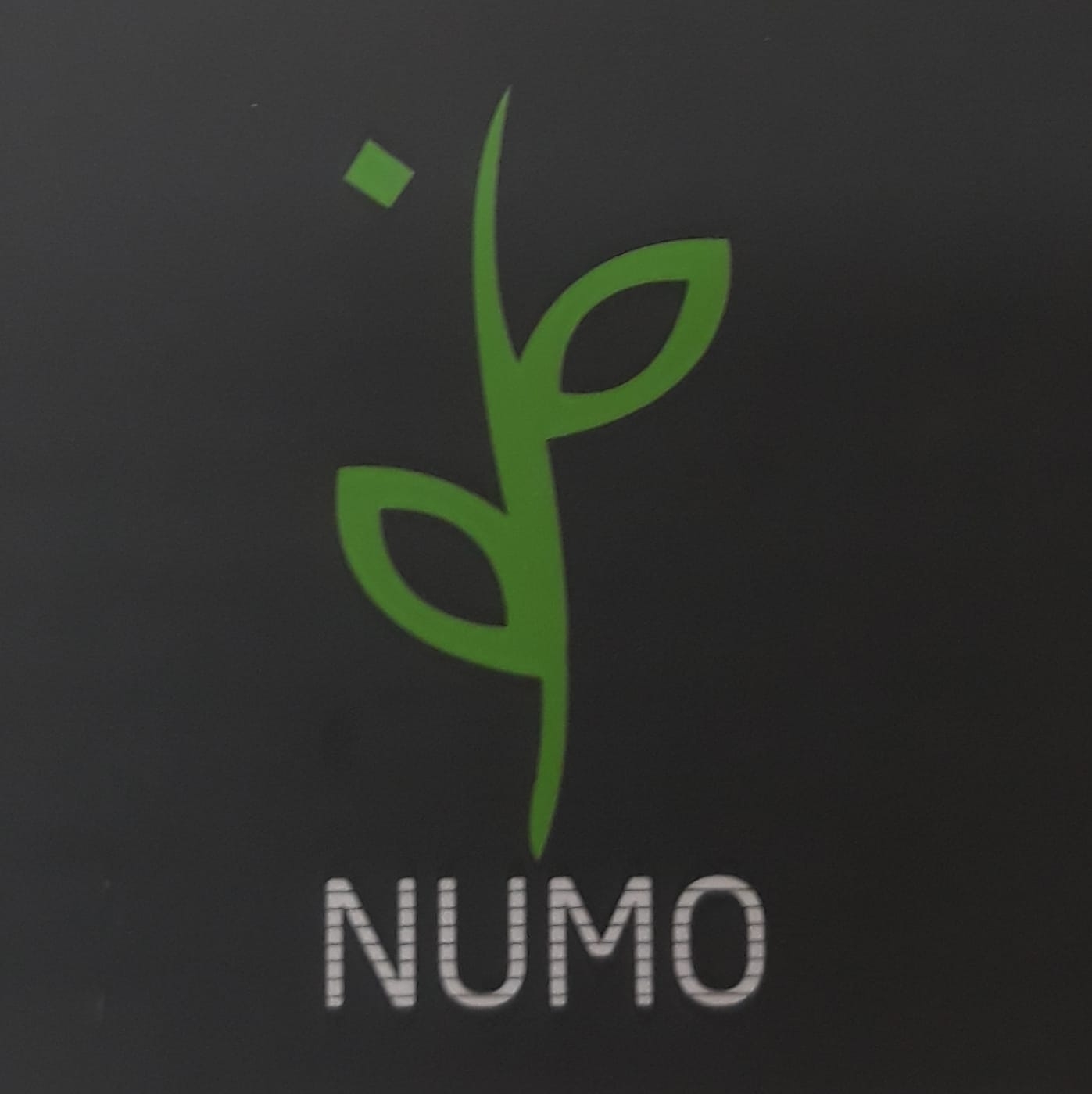 Numo - نمو للصباريات و العصاريات | Amman