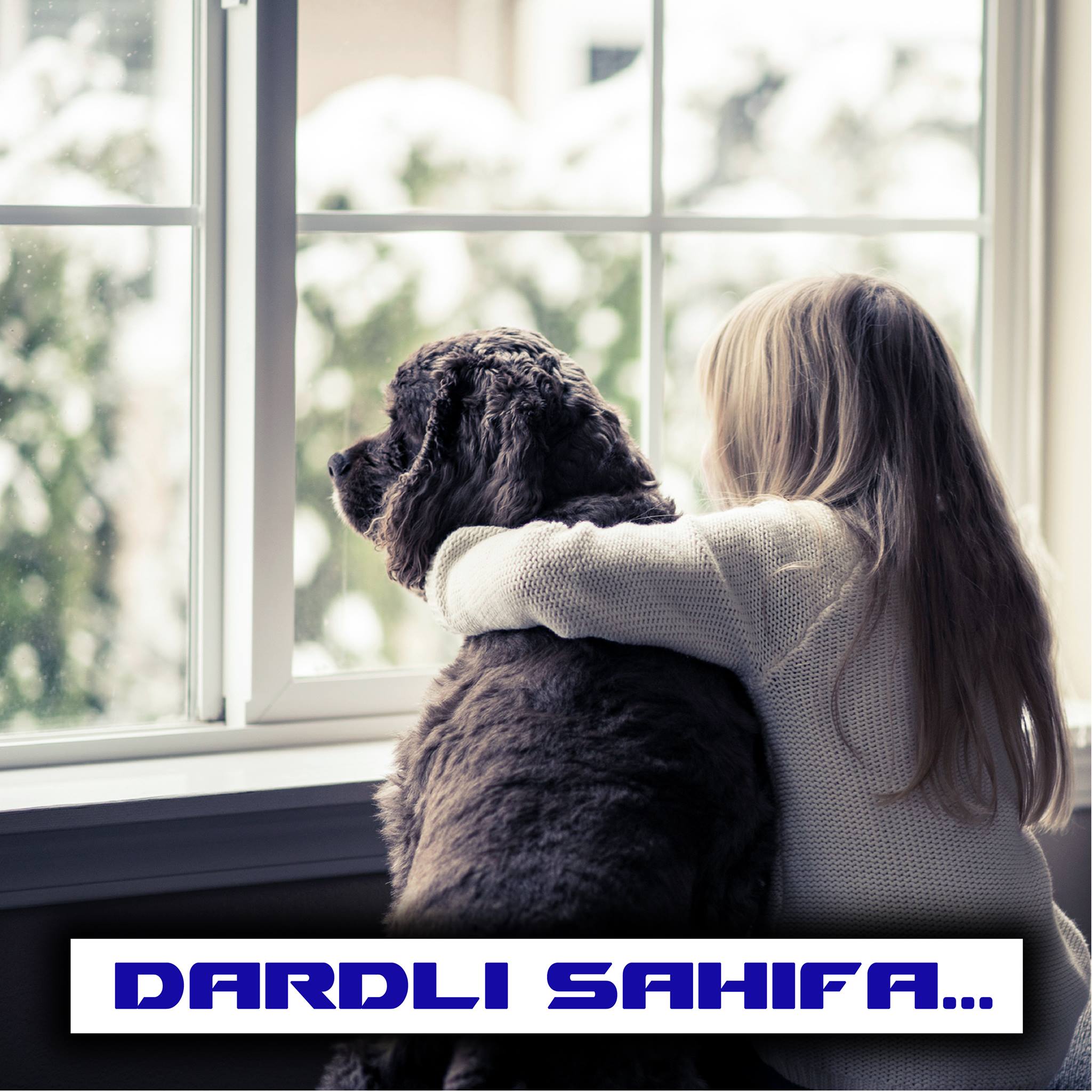 Dardli sahifa