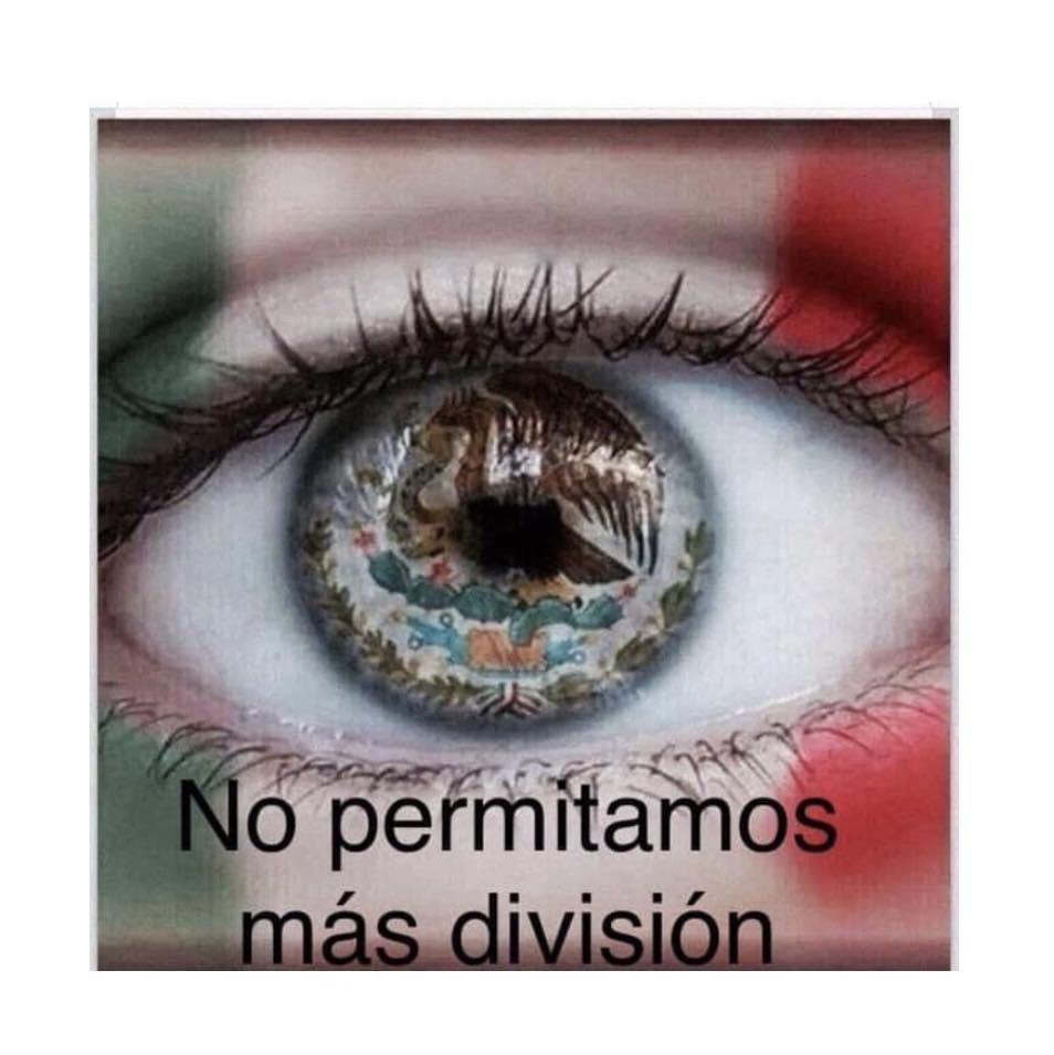 José René Signoret