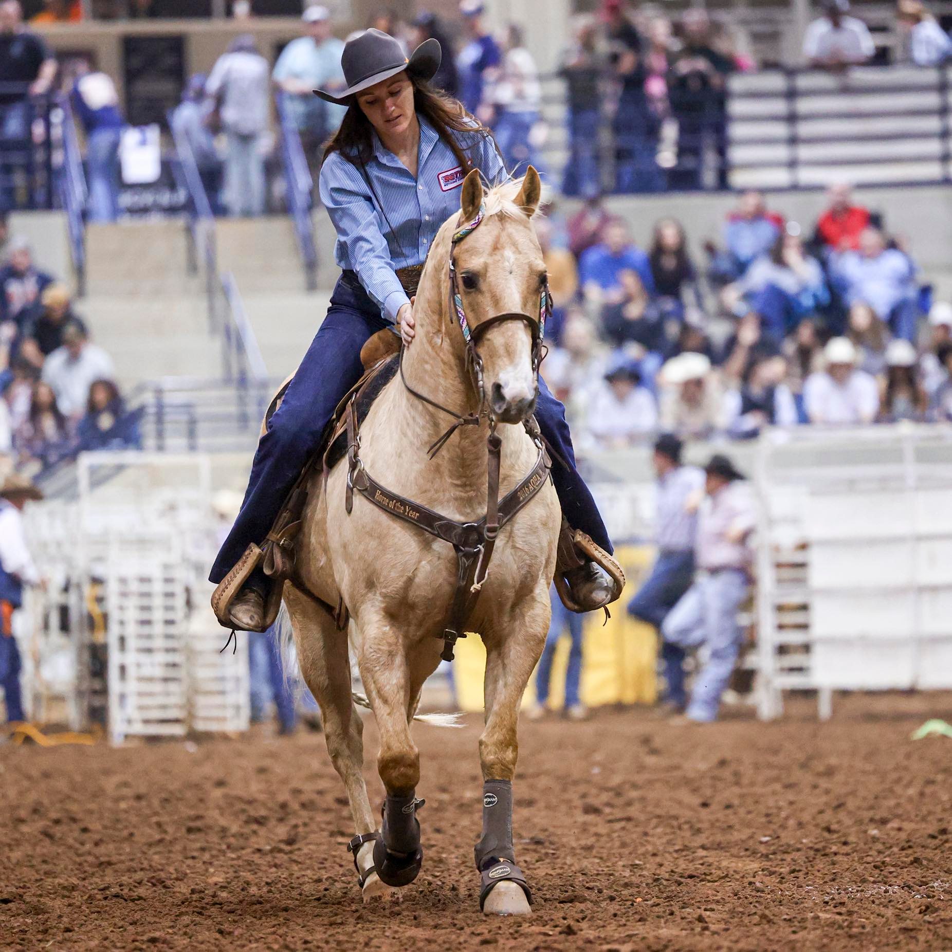 Chloe Cox Rodeo Athlete