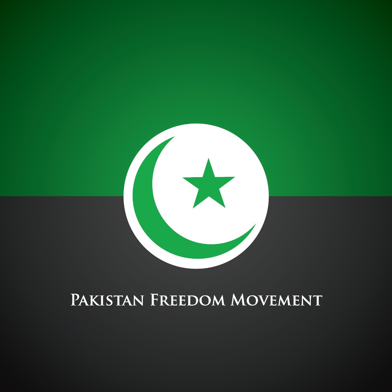 If the IMF wants Pakistan to achieve lasting economic stability, why ...