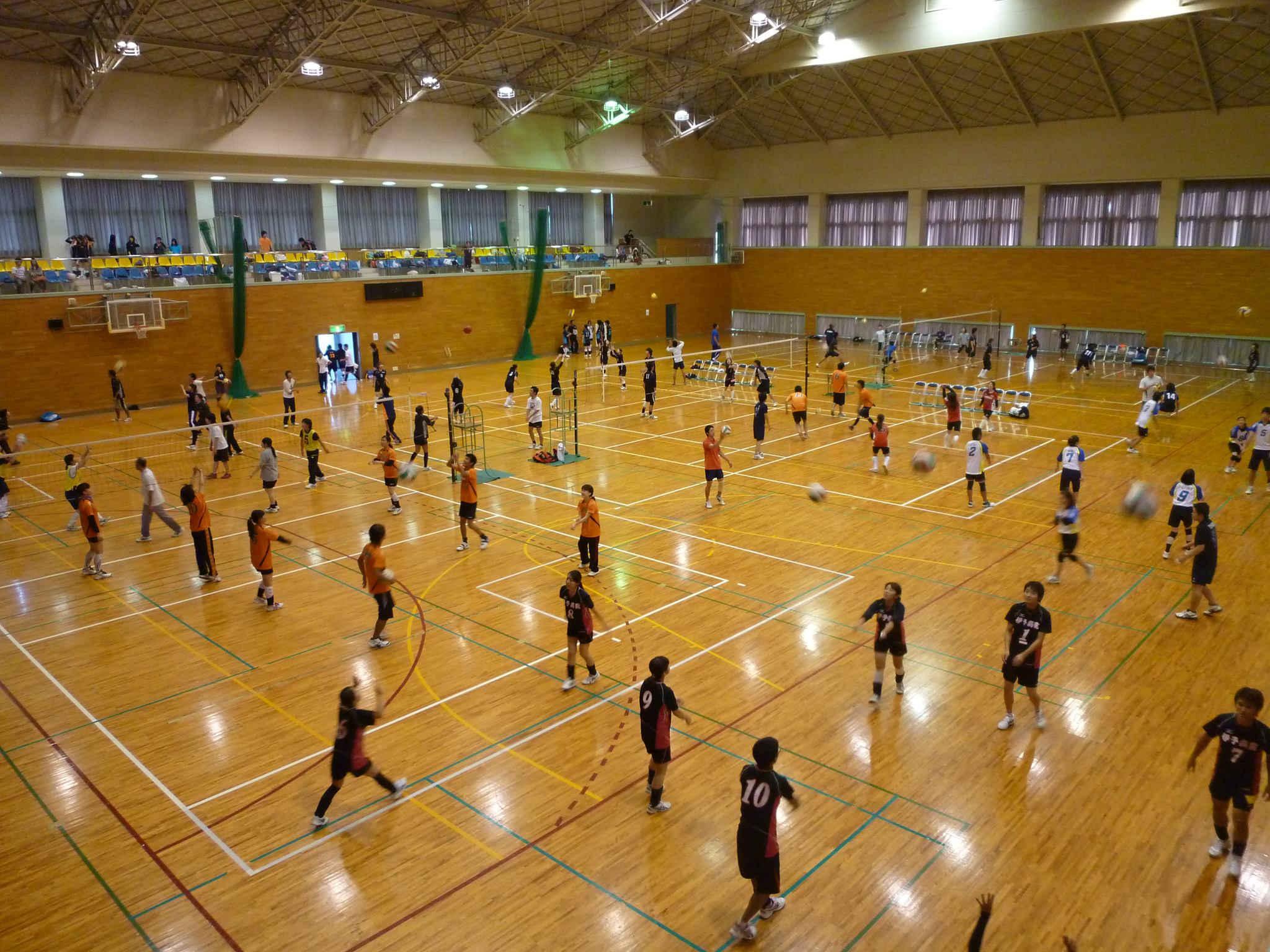 愛媛 県 バレーボール 協会