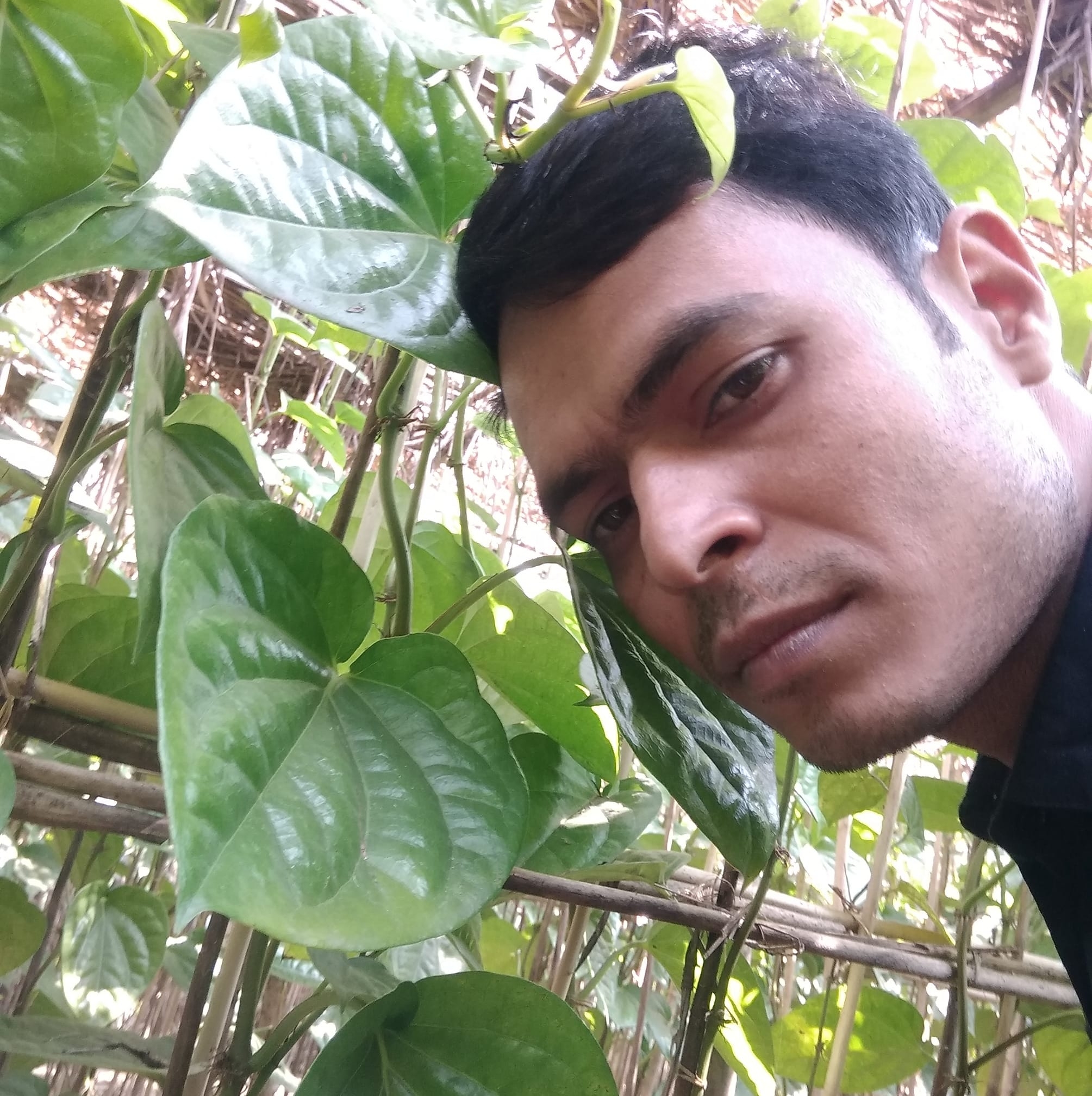 ROFIK | Dhaka