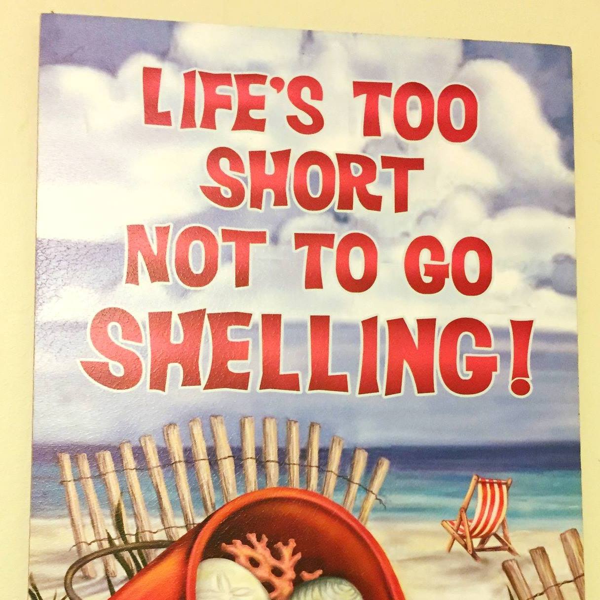 The Shell Stop