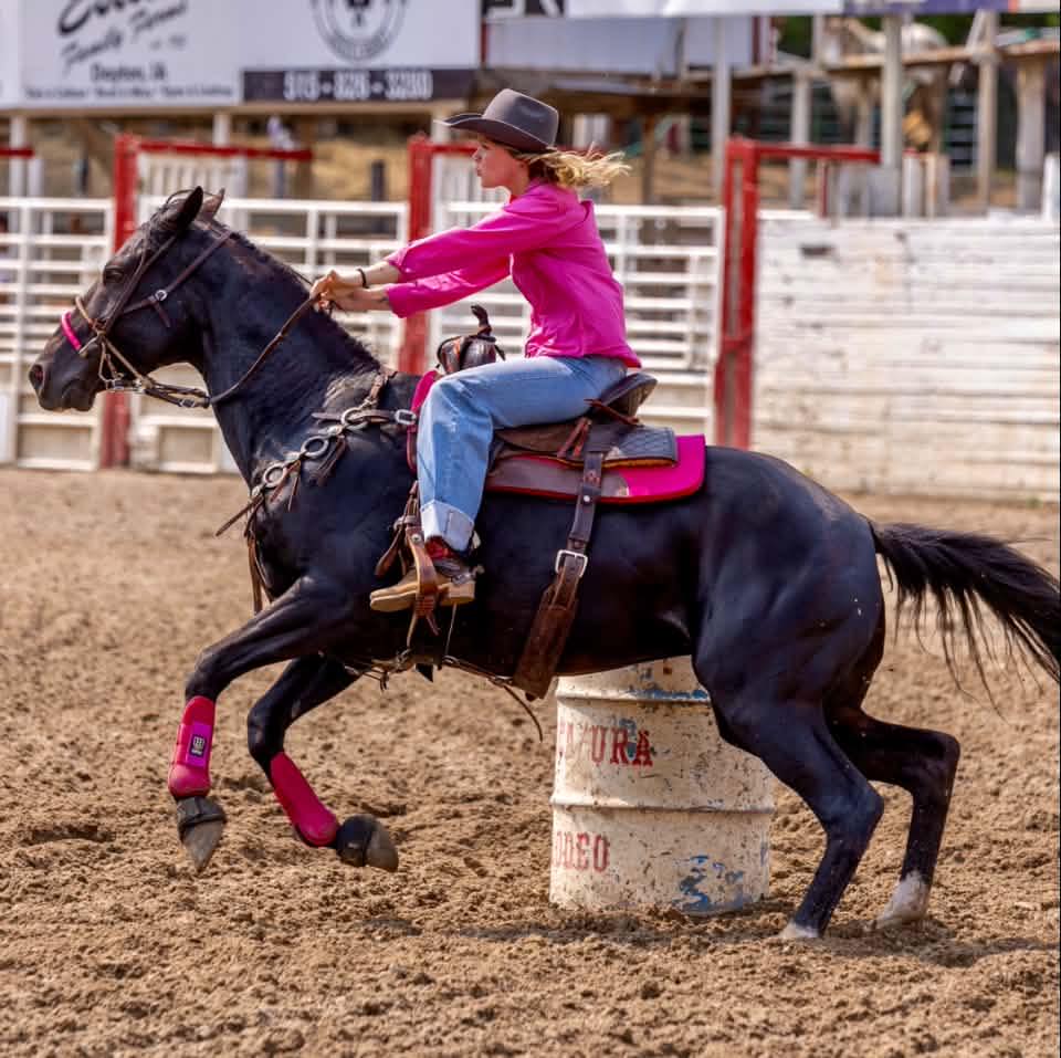 Horse questions, problems, answers, help | I know they’re not horses ...