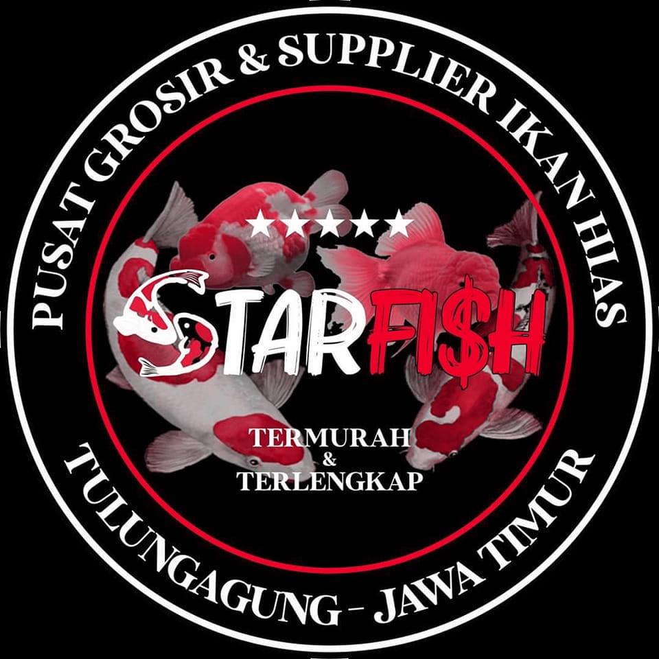 Rombongan maskoki siap berangkat dam menemani hari-hari kamu🐠 ️ Dari ...