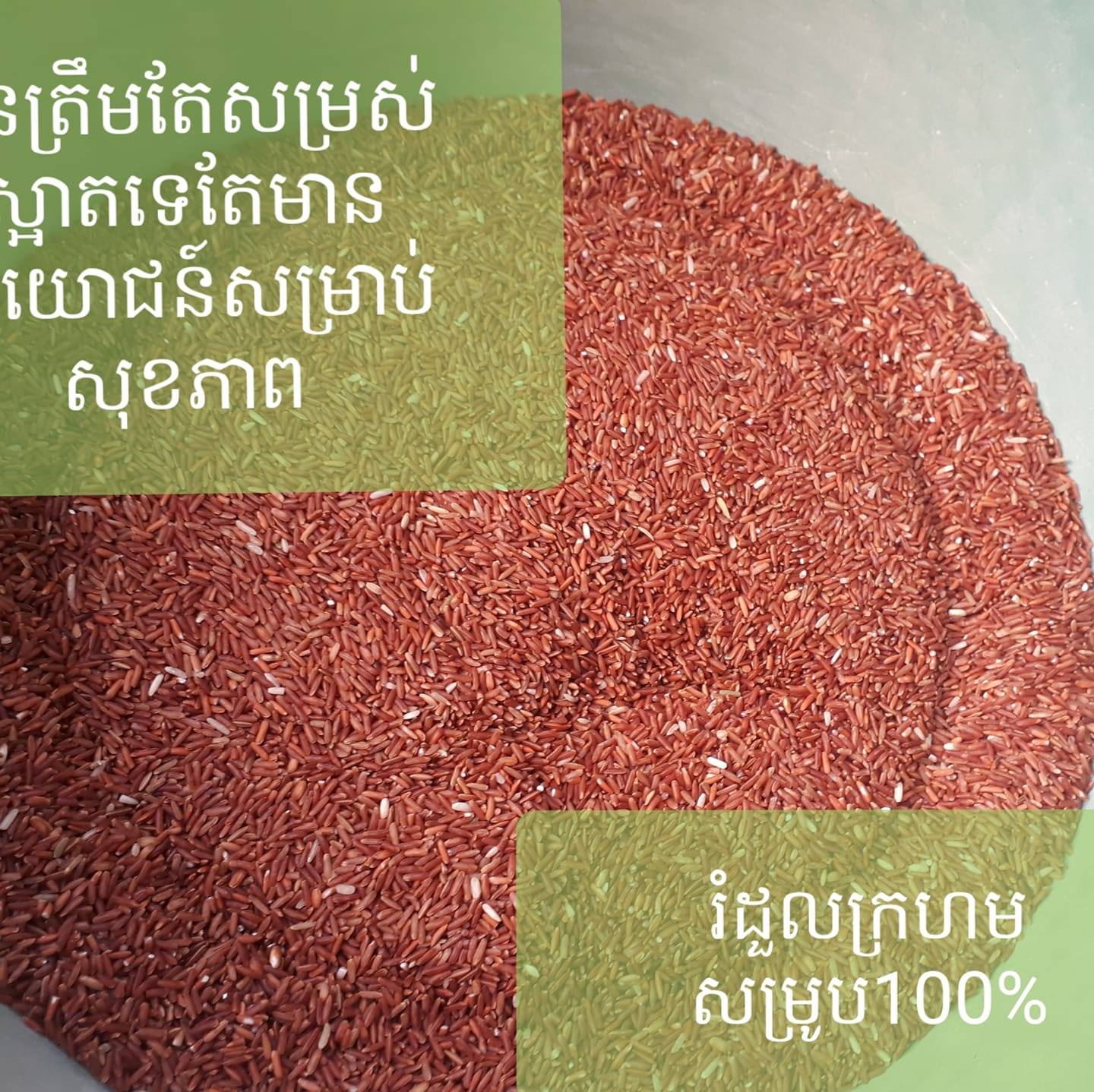 Hana Organic Rice ហាណា លក់អង្ករសុវត្ថិភាព