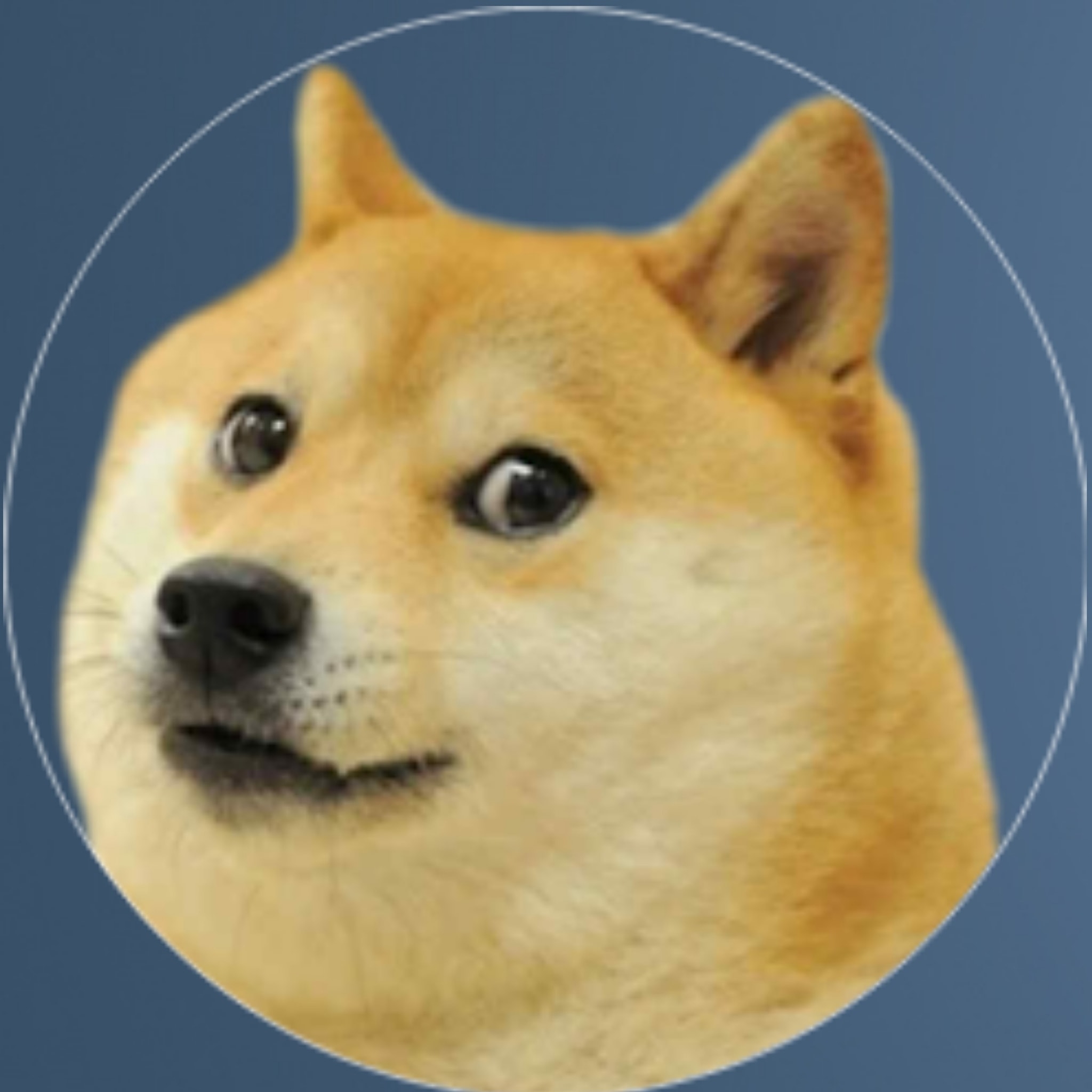 Perro-Rol