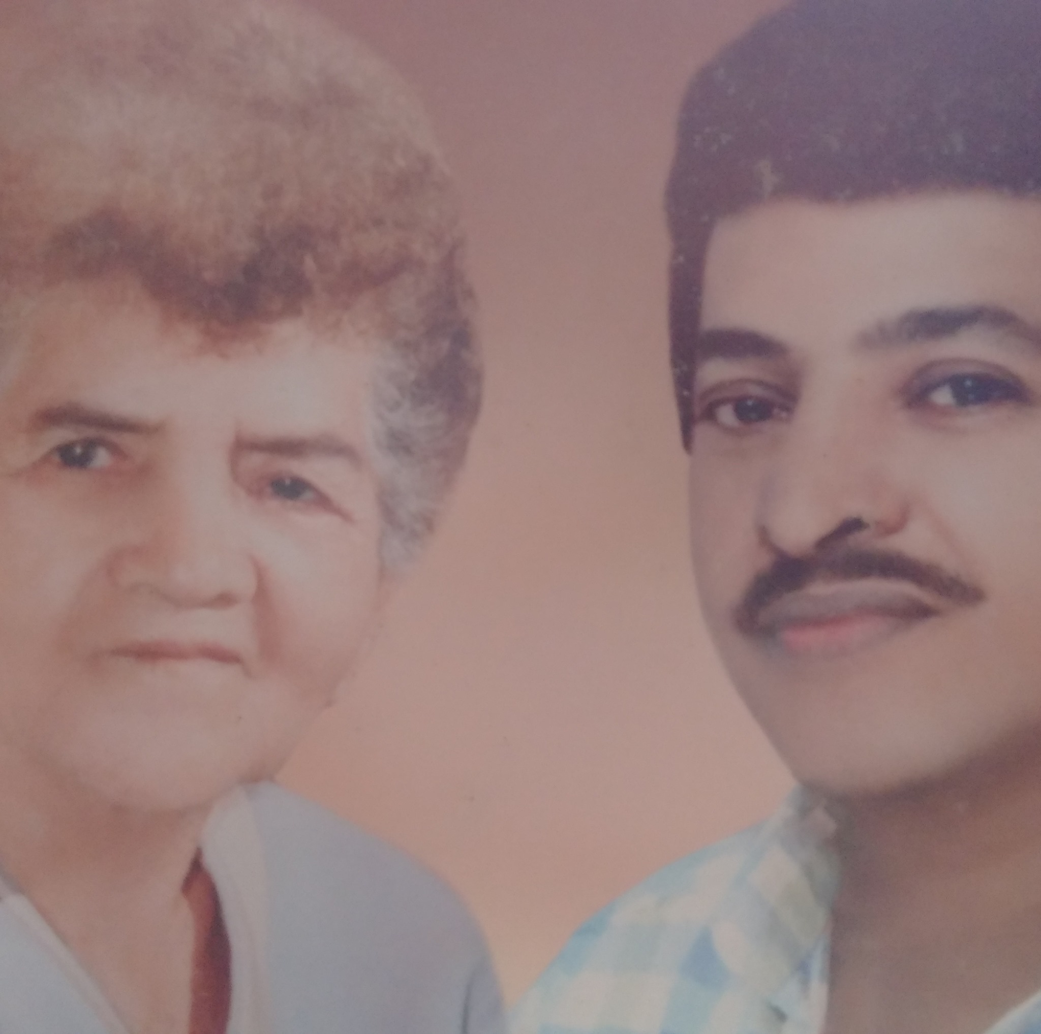 Crotalus vértebrada 🐍 Ira pariente aguas que Nos salió una de cas ca 🎐 ...