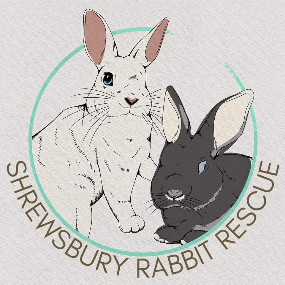 Shrewsbury Rabbit Rescue | Shrewsbury