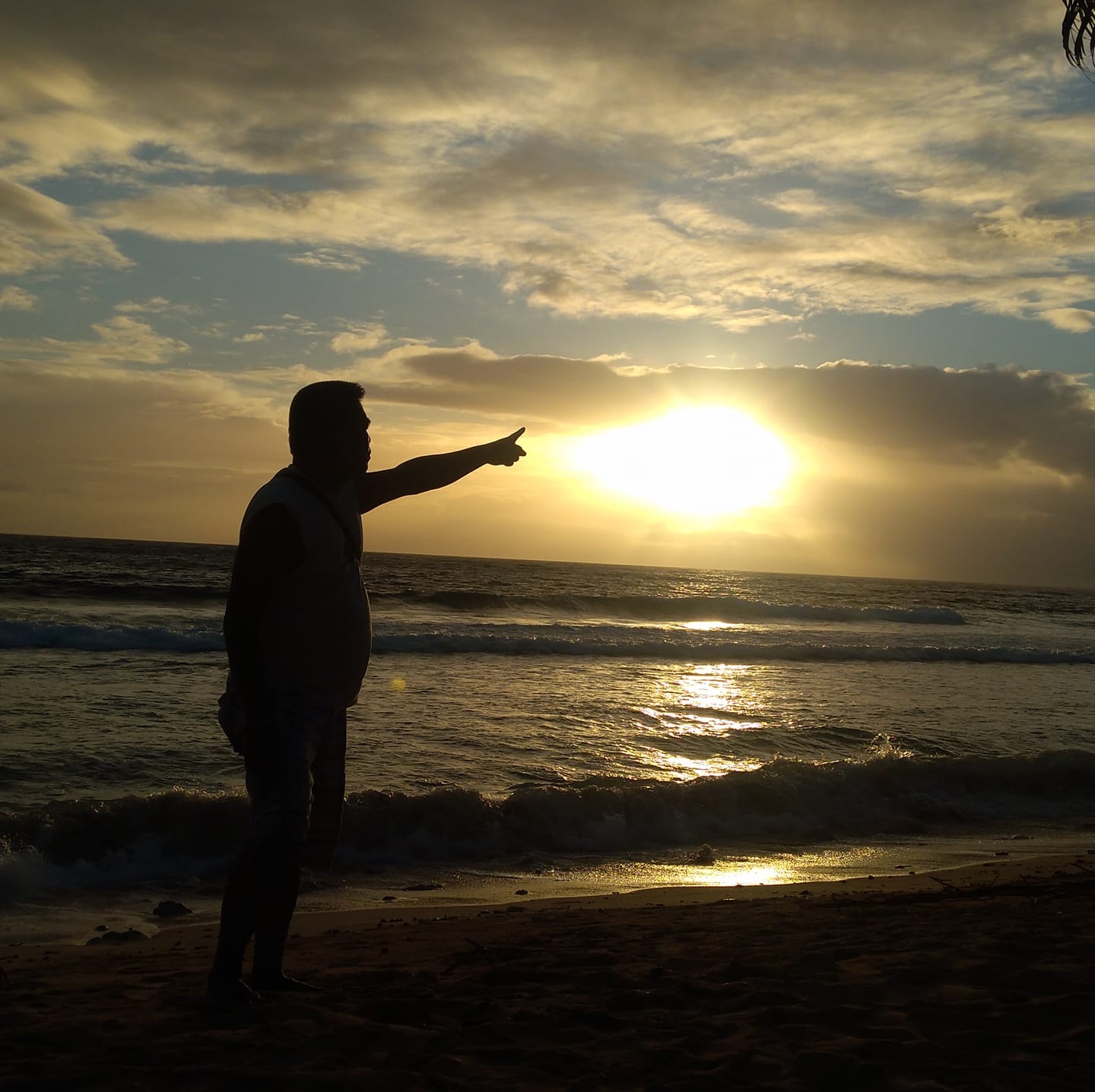 From a fellow native tree enthusiast of Brooke's Point, Palawan # ...