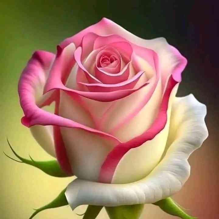 Entjar Rahaman