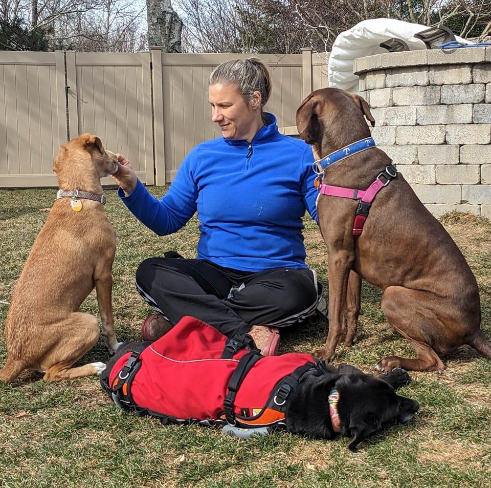 Sandy Paws Dog Training