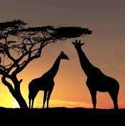 Adventure Travel