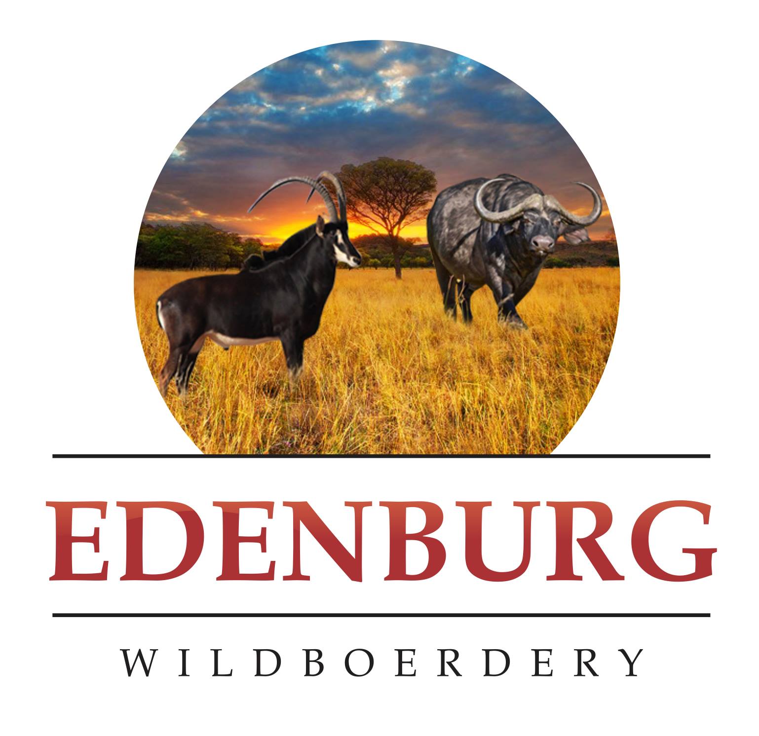 Edenburg Wildboerdery | Swartruggens