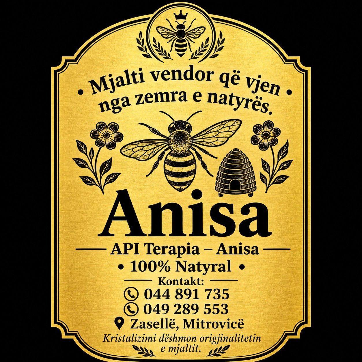 API Terapia Anisa | Mitrovica