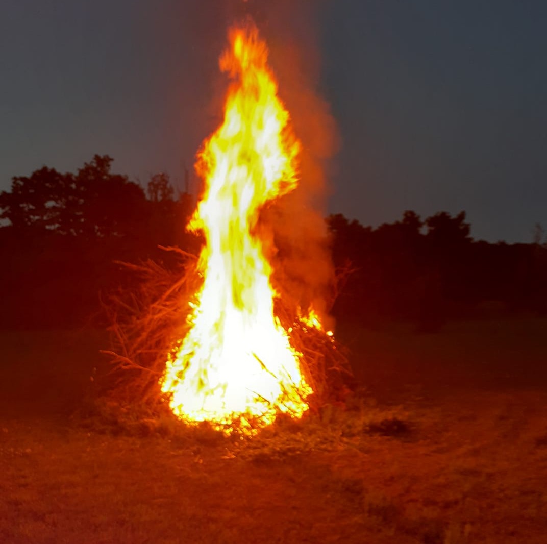 Väga lihtne küsimus, kuid vastust on võimatu saada. Kas ja millal ...