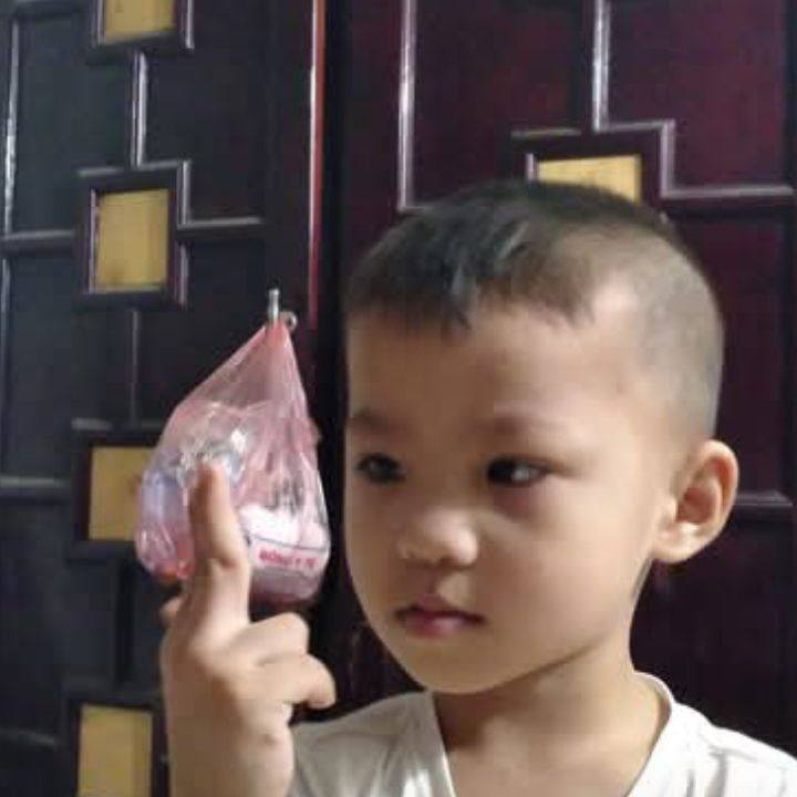 Cánh lùa trả khách | Đàm Thị Ngọc