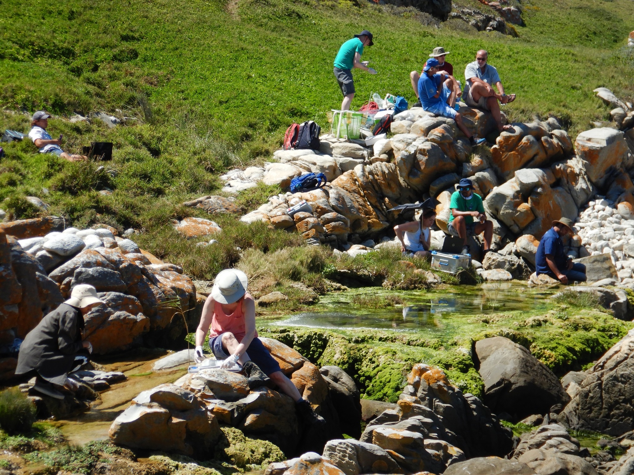 South African Stromatolites