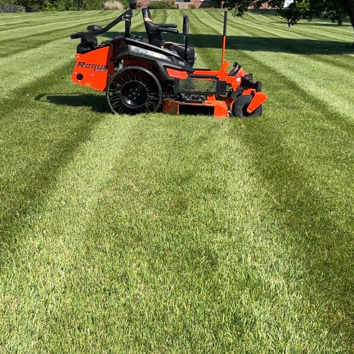 Shelby Lawn Care Shelbyville KY