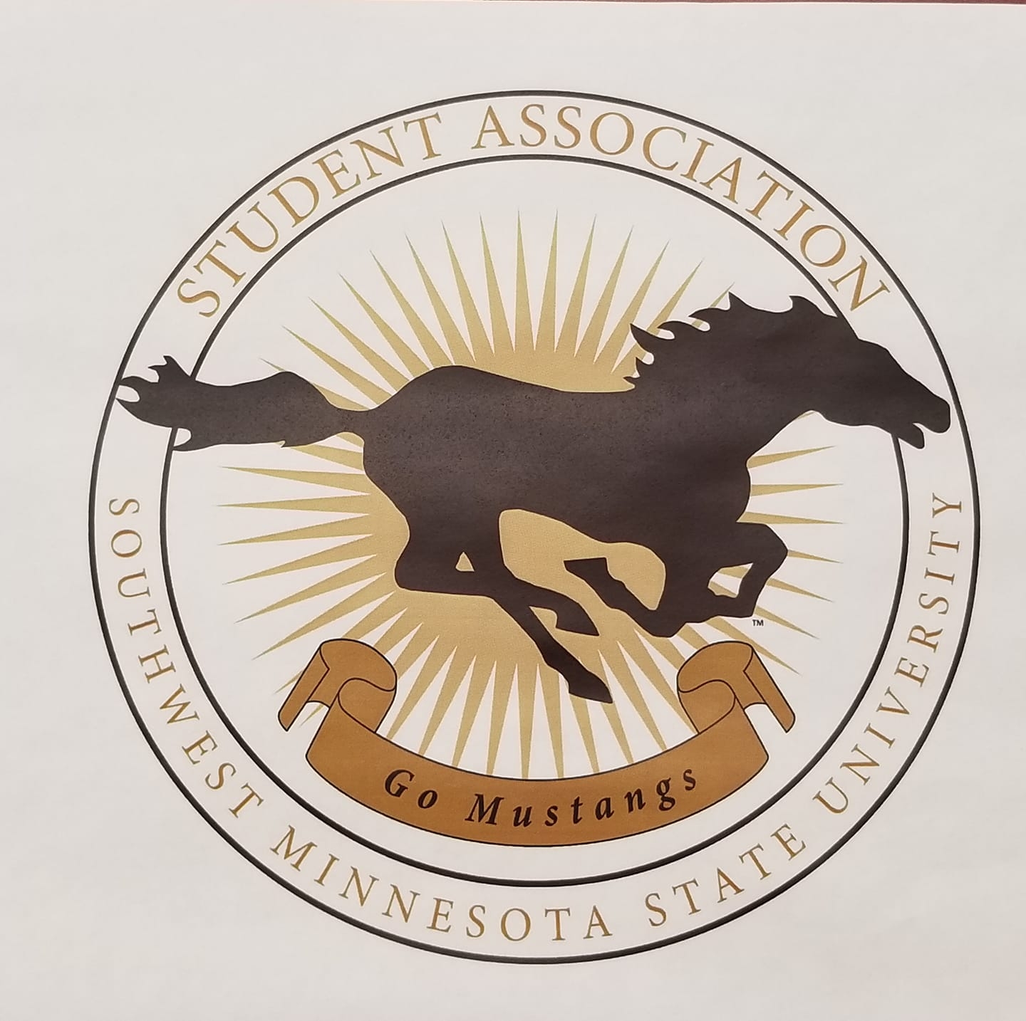 SMSU Student Association