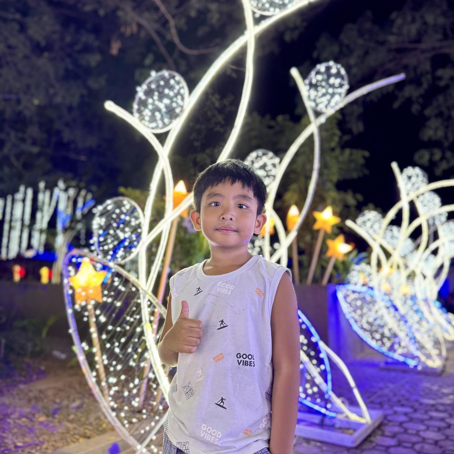 Princes Aljane