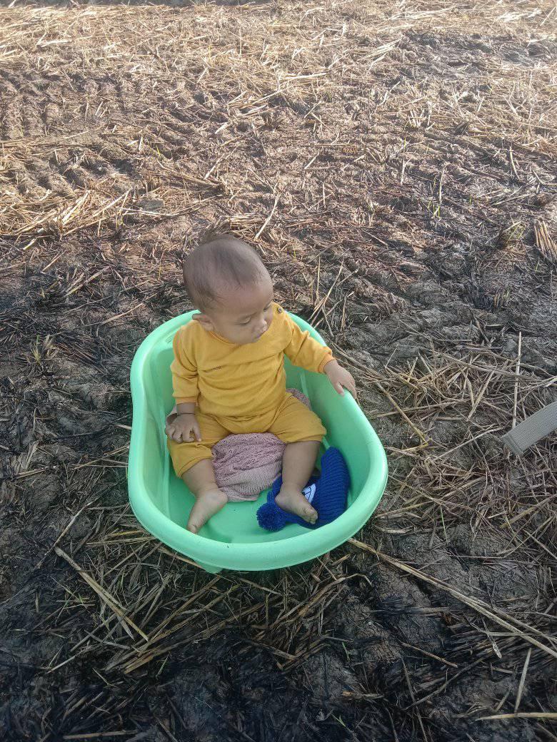 3 jenis pupuk kombinasi awal di saat pindah tanam... #pupuk # ...