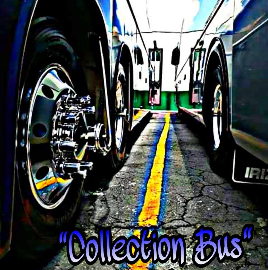 Collection BUS