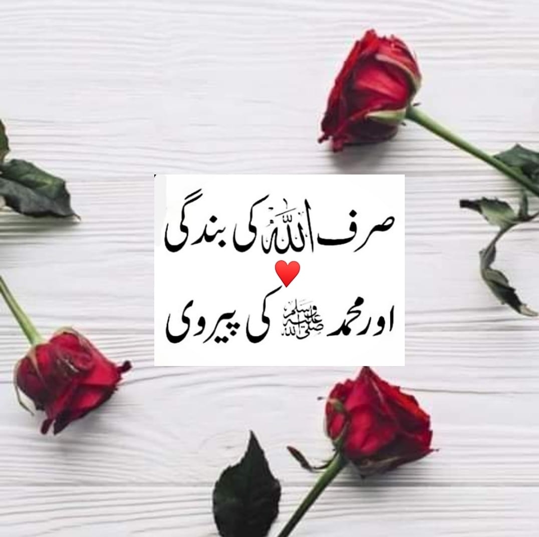 ابو اسامہ - 