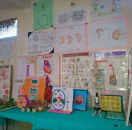 Biology Lab, Ali Public Higher Secondry School Bhiria Road