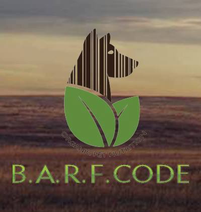 Barf Code Patra | Patras