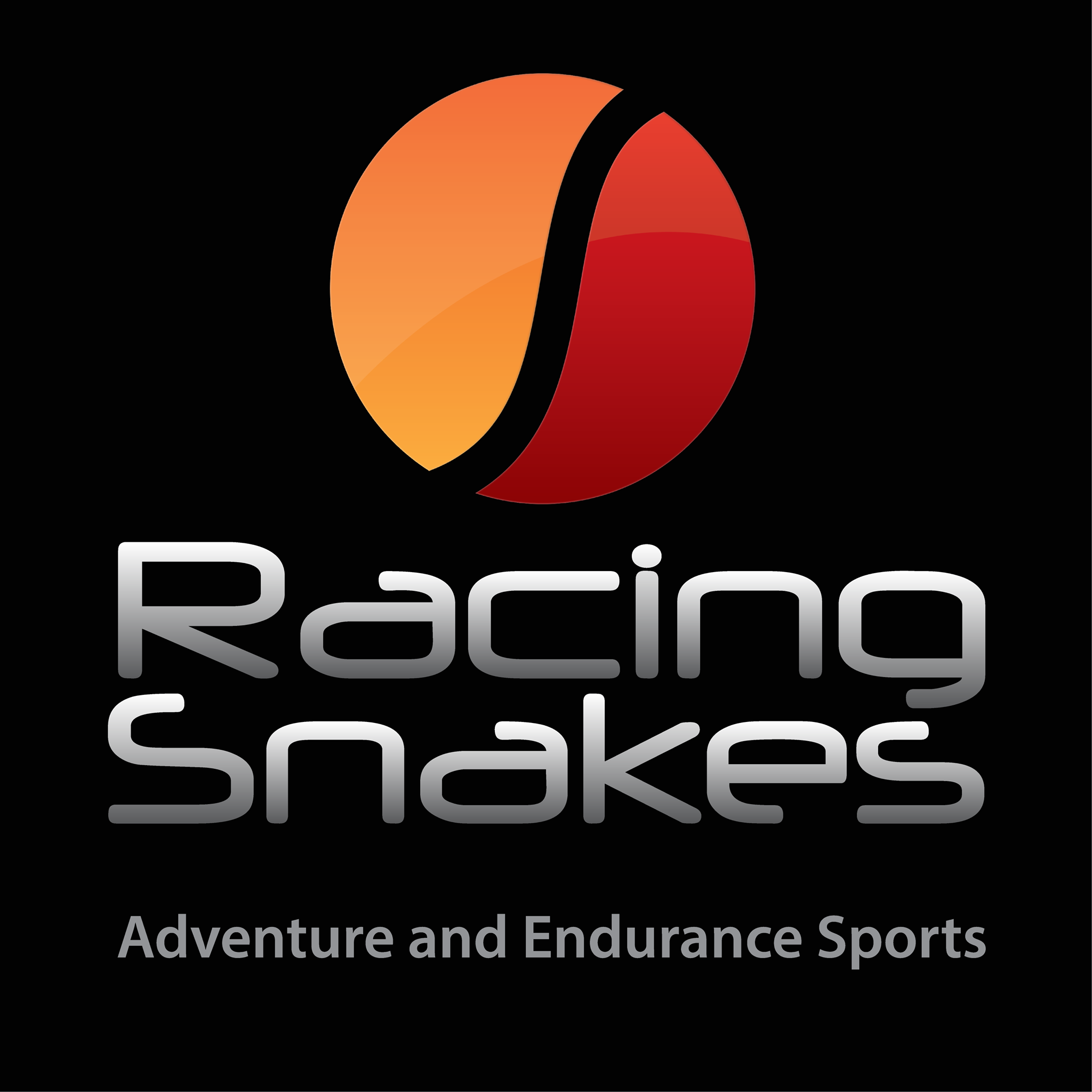 Racing Snakes
