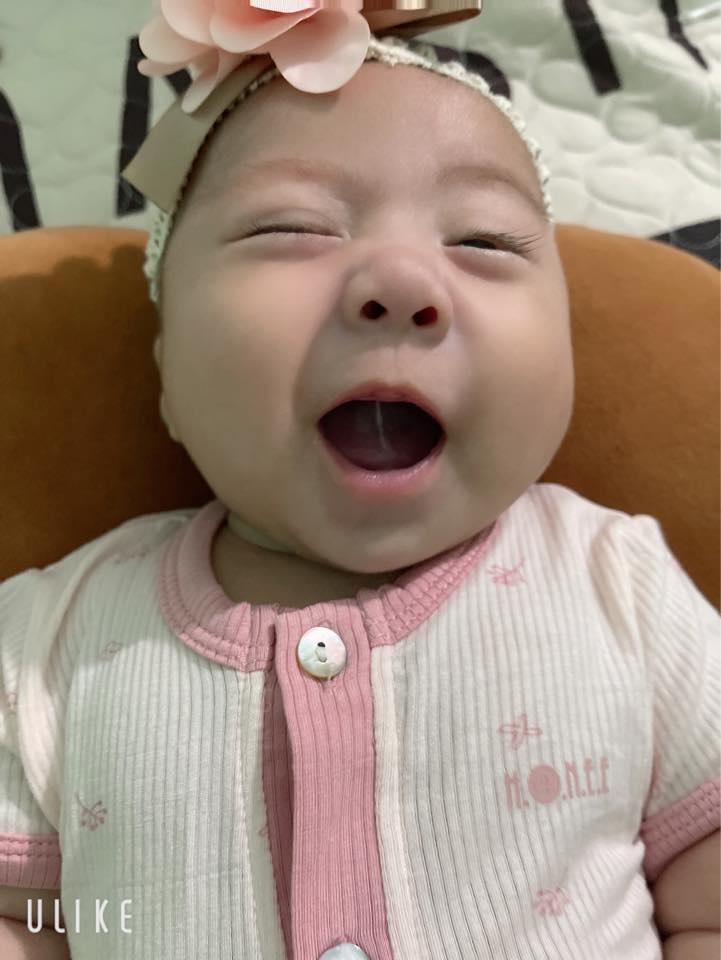 THÍCH TRỒNG CÂY | Cho mình hỏi trồng rau gì có thể có rau ăn quanh năm ...