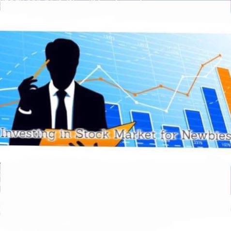 View of Investing in Stock Market for Newbies