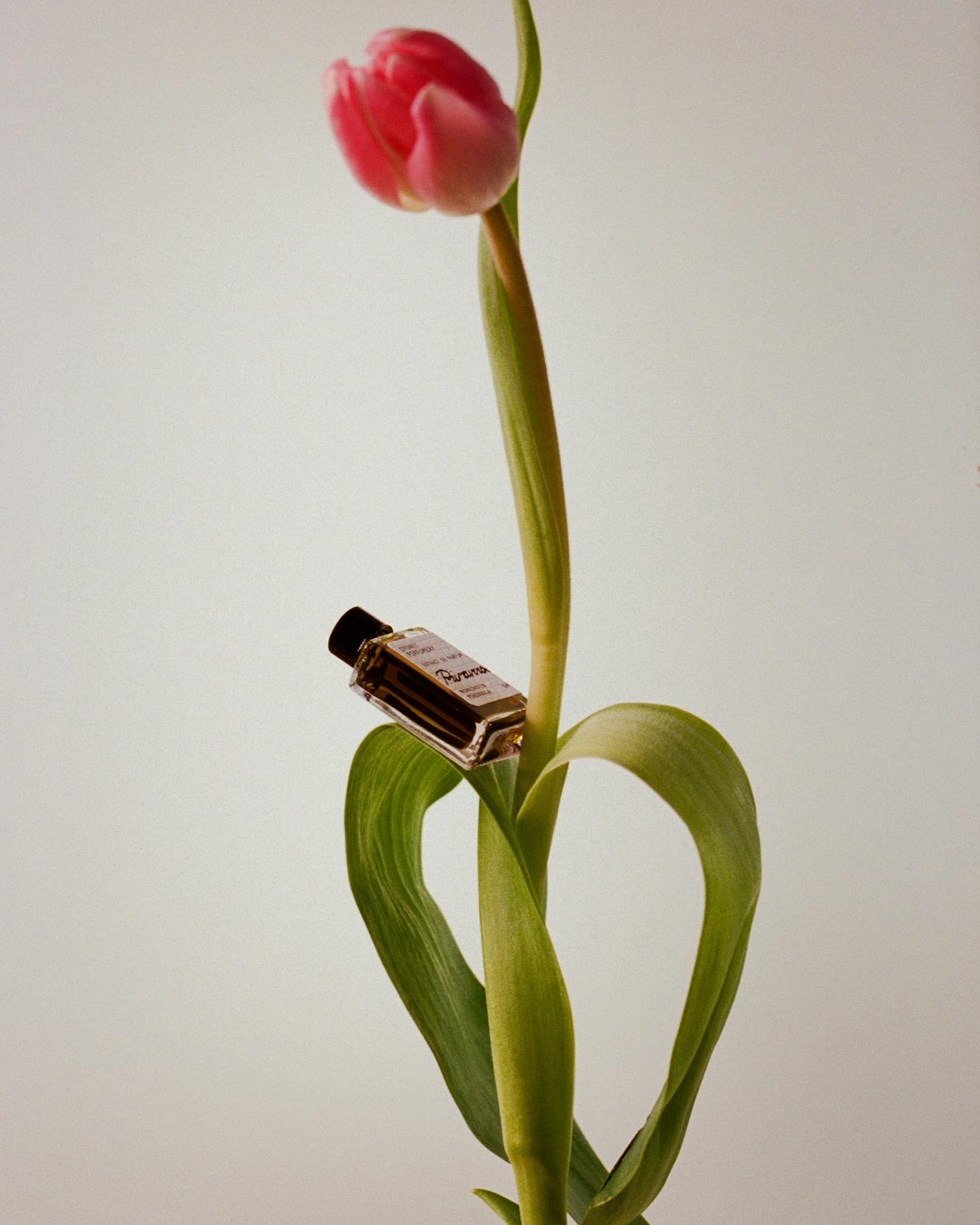 Plein Air - Batch V Top Notes: Elderflower, Geranium Bourbon, Bergamot ...