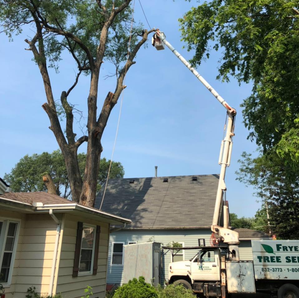 Frye's Tree Service | Webster City IA