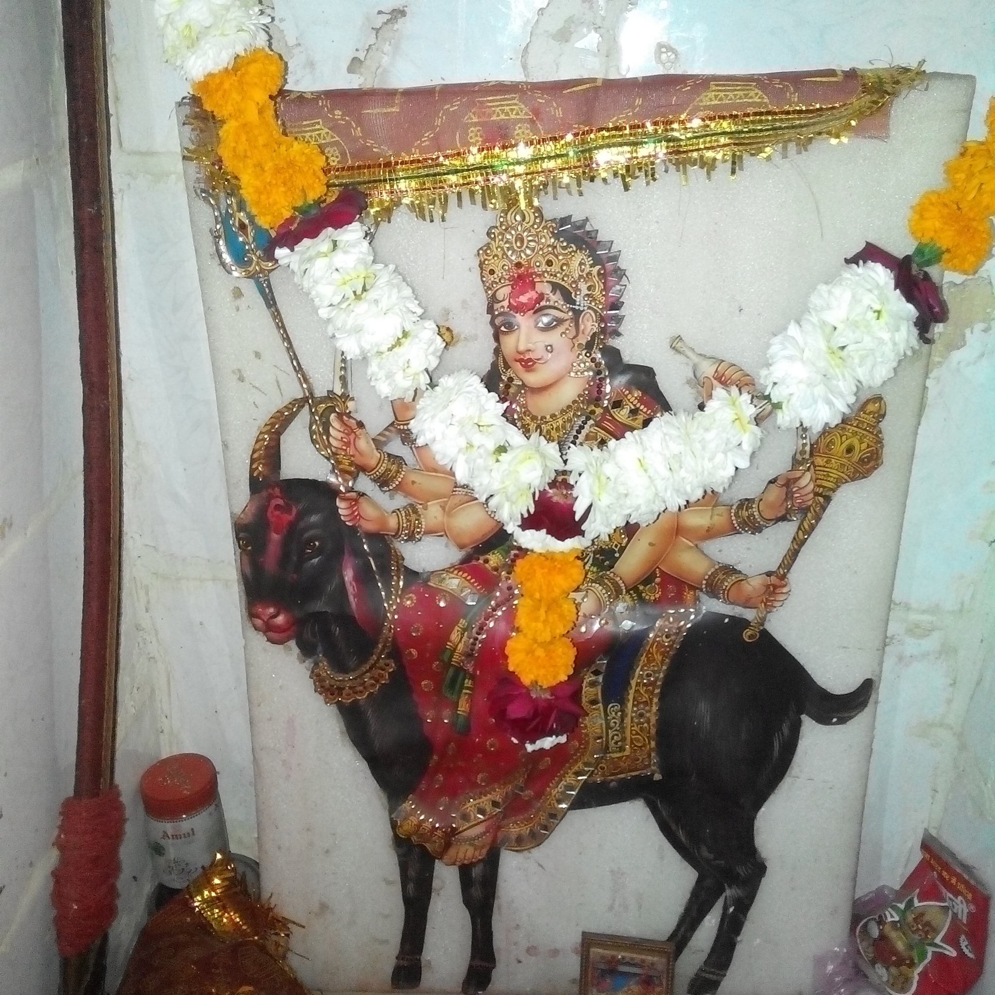 સૂના લાગે ગામ કેરી શેરિયો 🥹🙏💐||Singar Mehul Vasava | Vasava Mehul