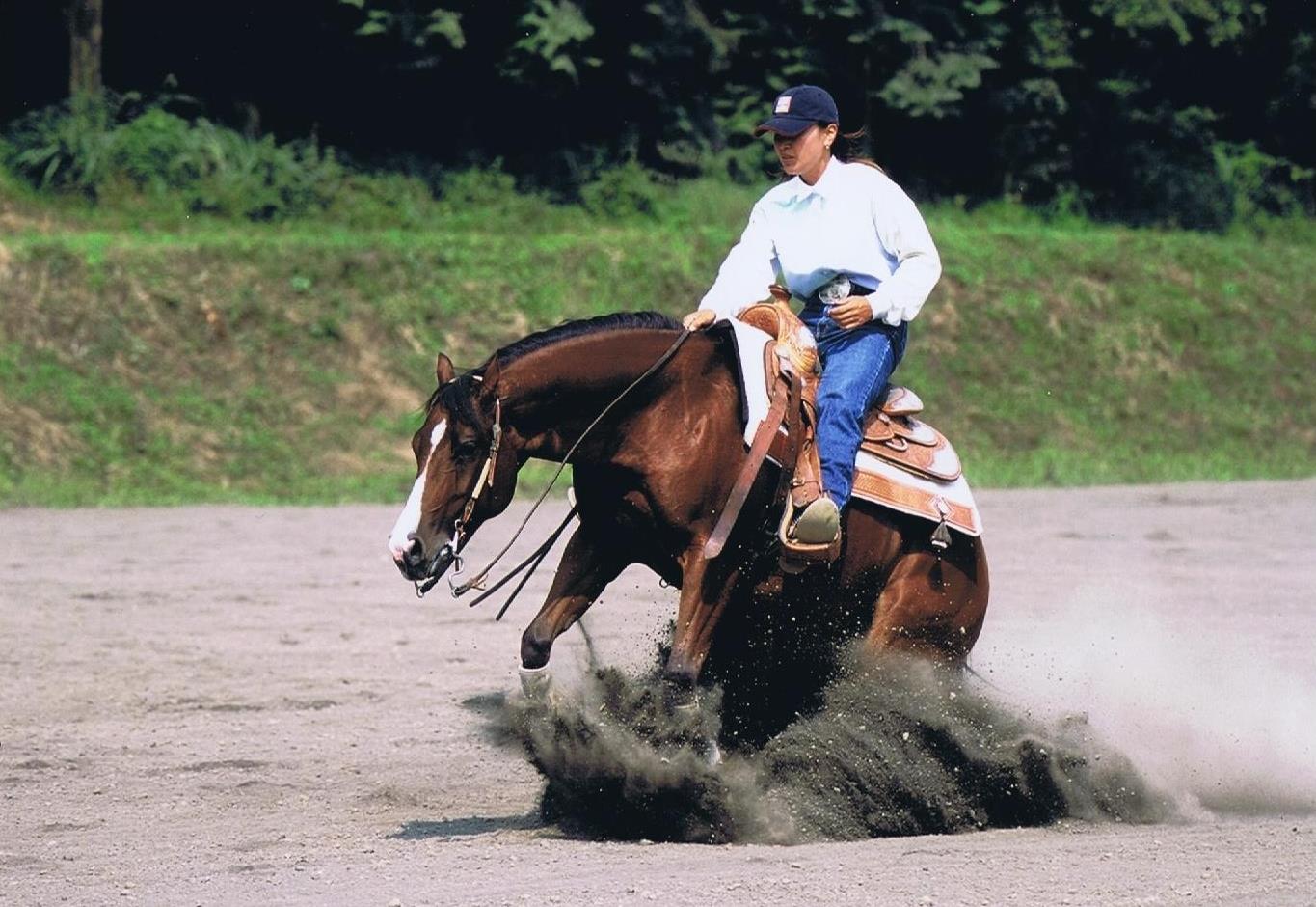 West Wind Ranch (@westwindranchreininghorses) • Facebook