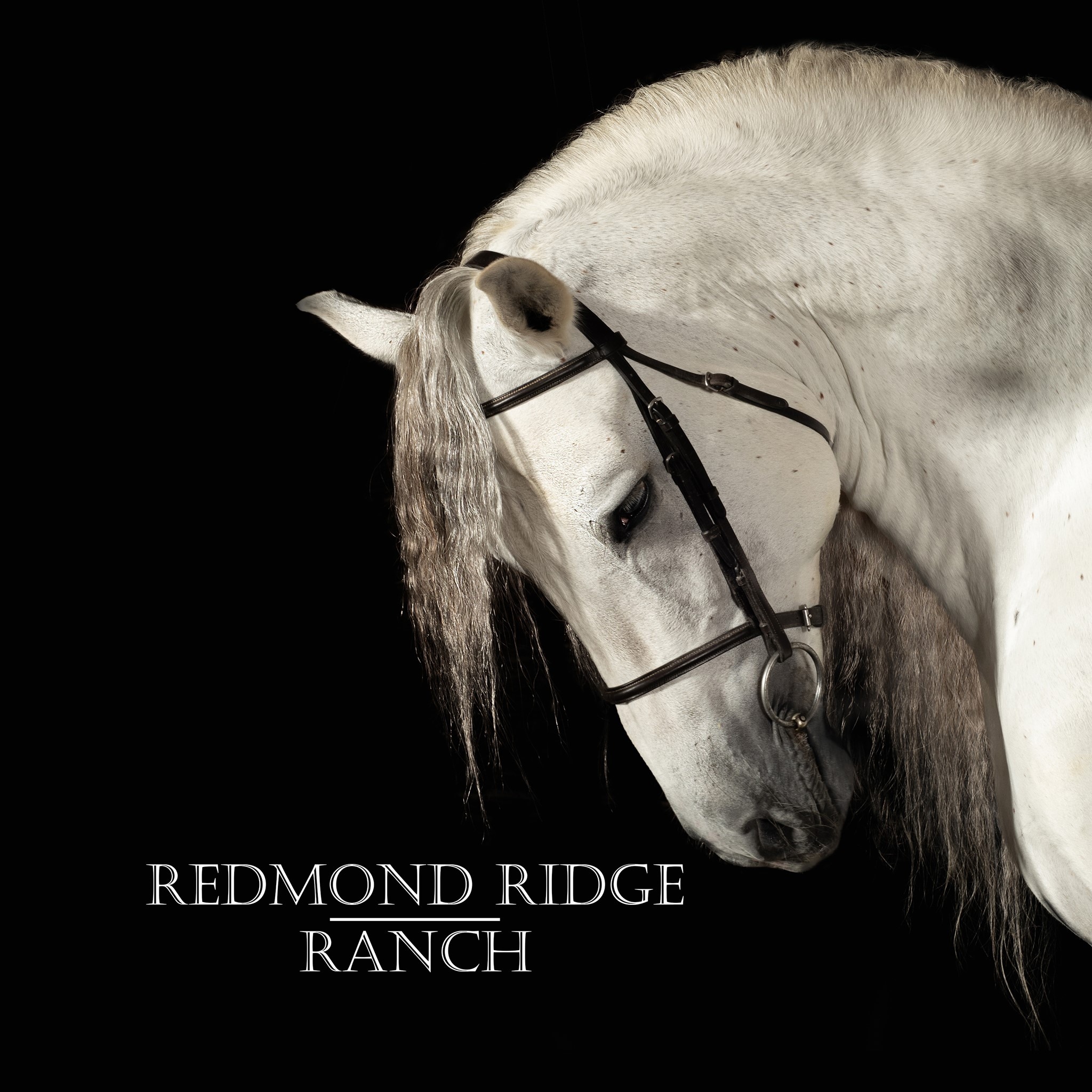 Redmond Ridge Ranch | Redmond WA