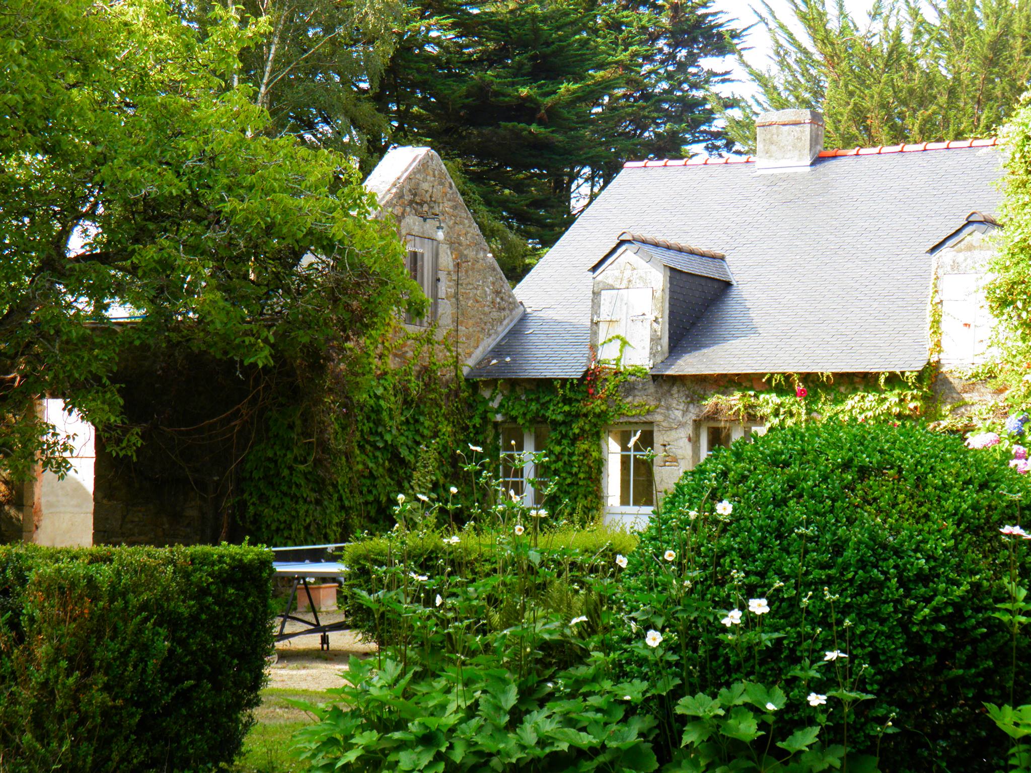 Sitemapcdatahttpdekokniqoocommanoir Des Eperviers