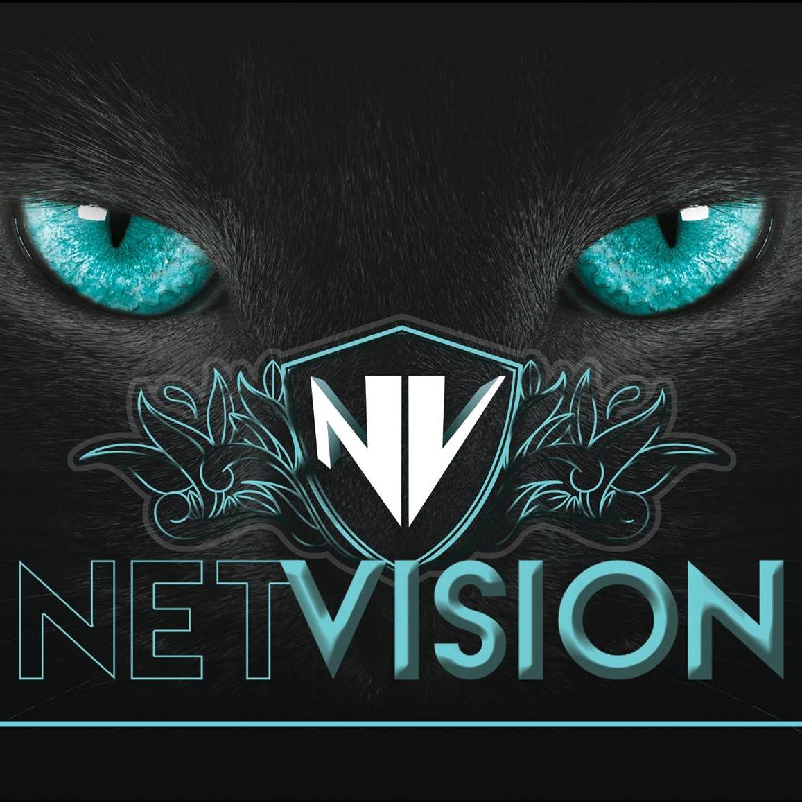 NET Vision | Araçatuba SP