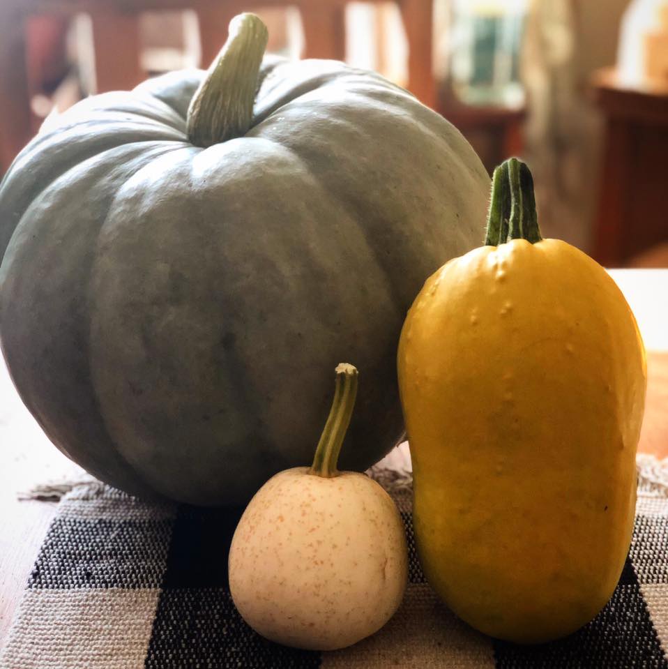 Stuart Farms | La Moille IL