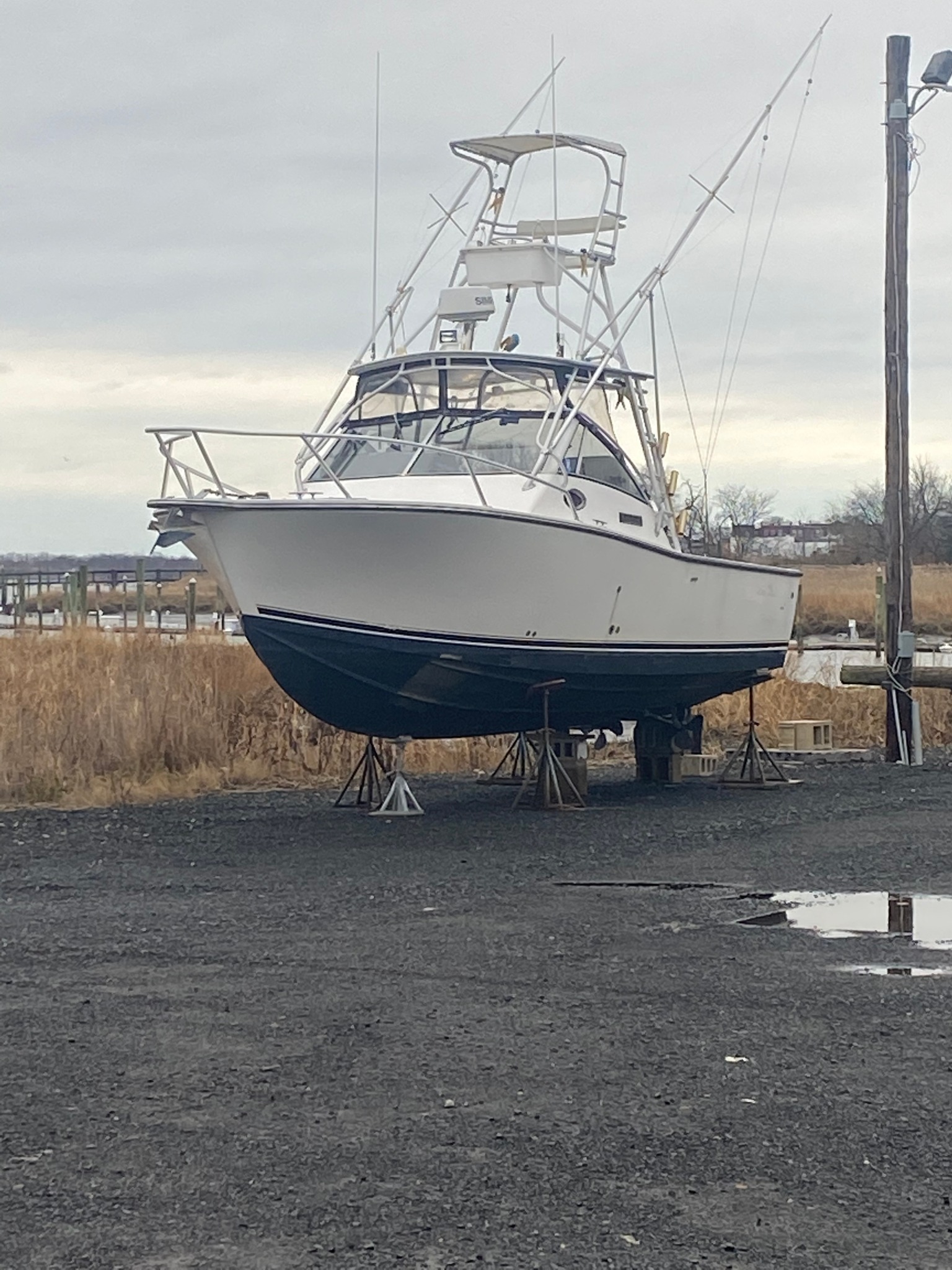 SANDY HOOK New Jersey | Today between north beach and the rip | Facebook