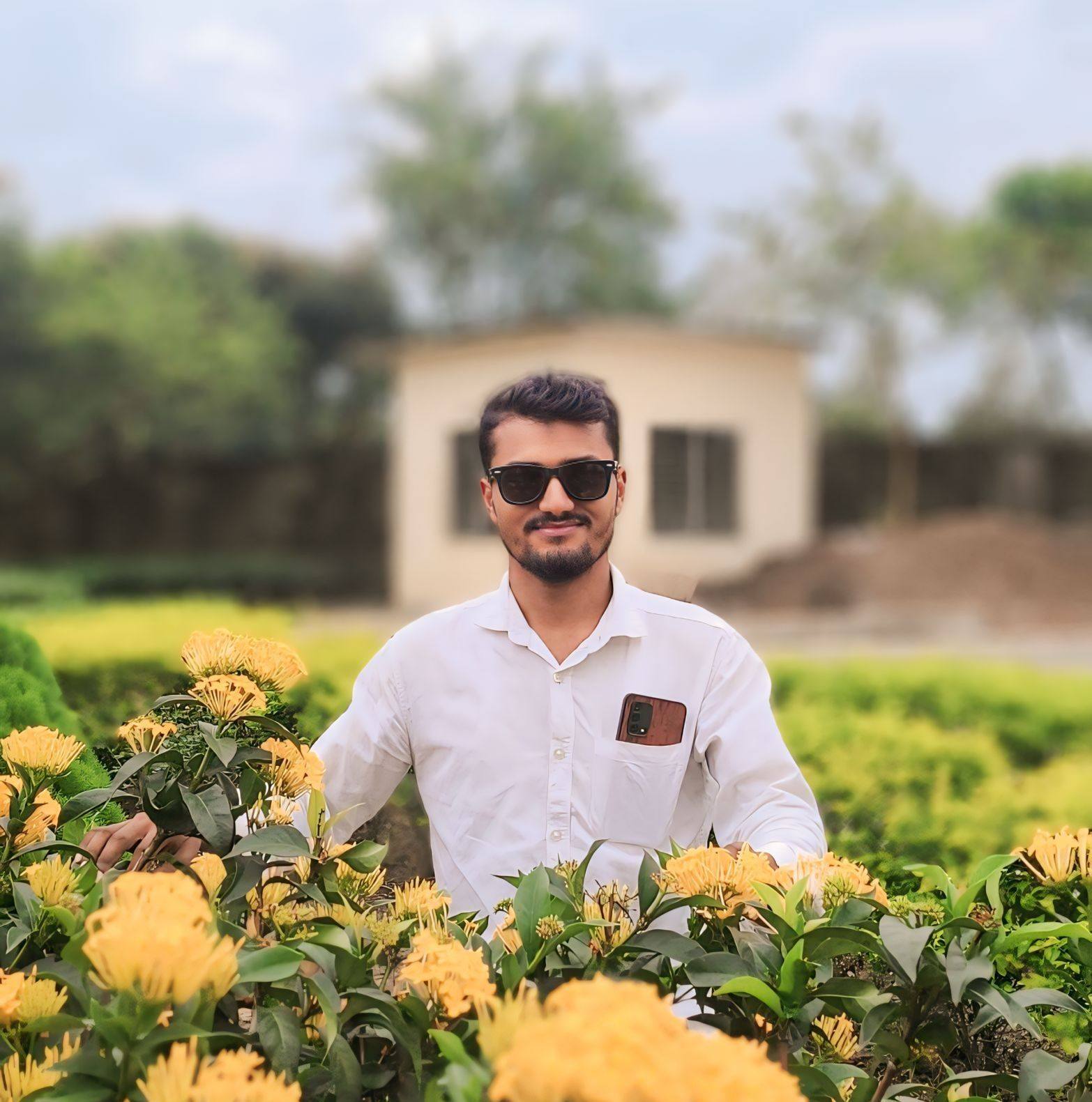 রবি উল