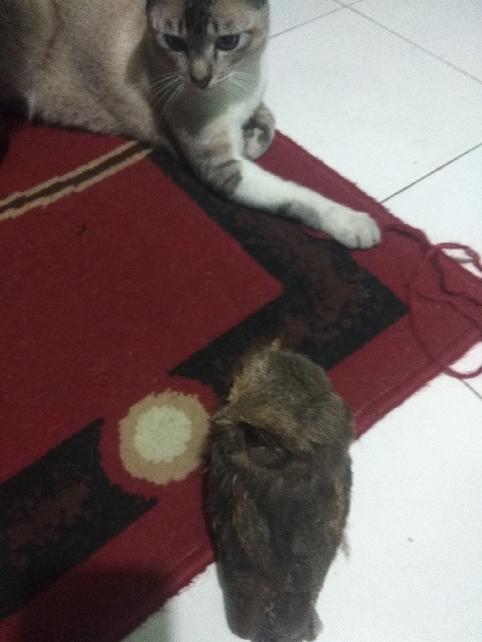 Pelajaran siang semoga ada hasil bagus... | Herlina Sehati