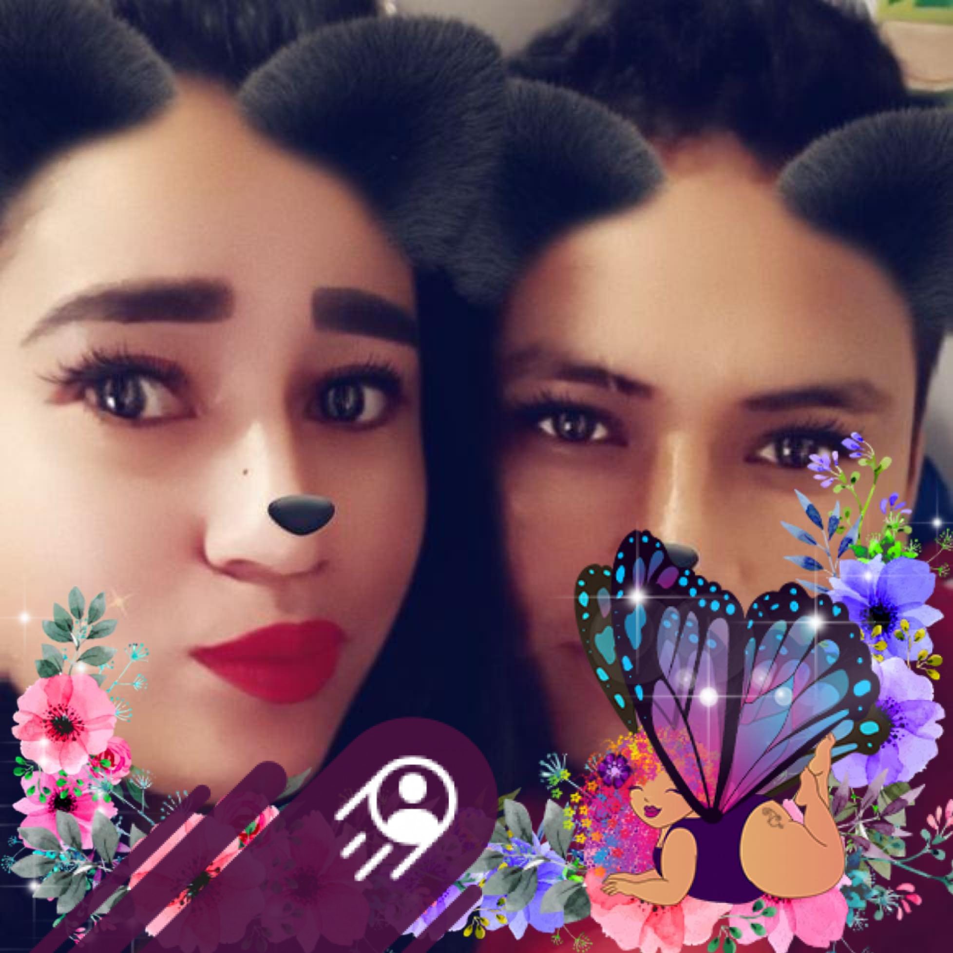 Bueno hay le mando el Comunicado David a Elsa | Paola Bonilla